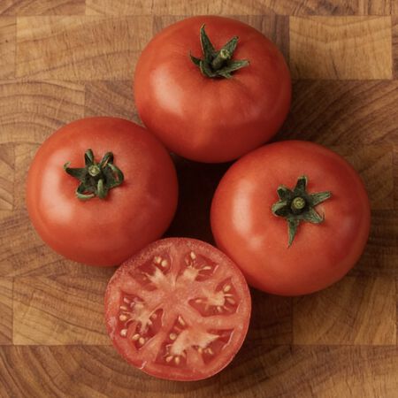 Bush Champion II, Tomato Seeds - Packet image number null